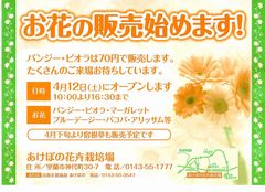 詳細