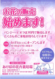 詳細