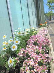 花いっぱいのベンチ