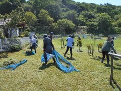 草刈り作業~、皆で力を合わせて!