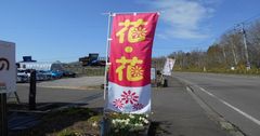 花苗絶賛販売中