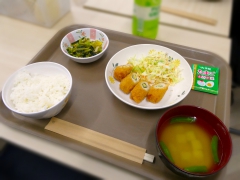 後援会施設見学会・福祉のまちづくり賞 PR展が開催されました